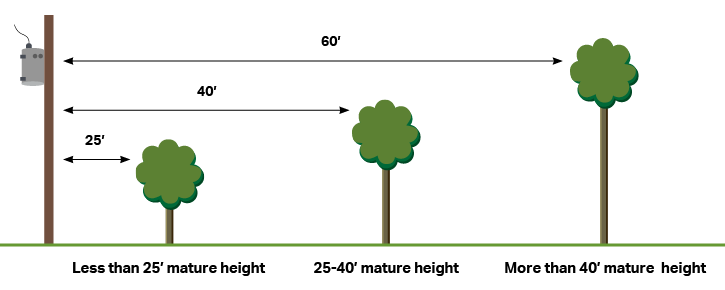 Illustration consists for a power pole and the distance needed between trees