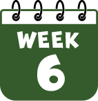 Calendar icon - Week 6